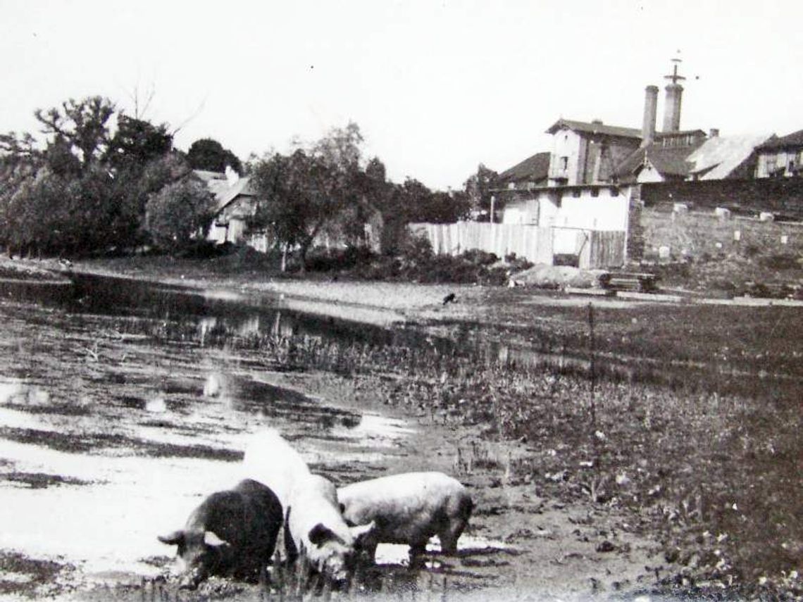 O dawnej produkcji alkoholu. Szkoła próżniactwa i zepsucia moralnego