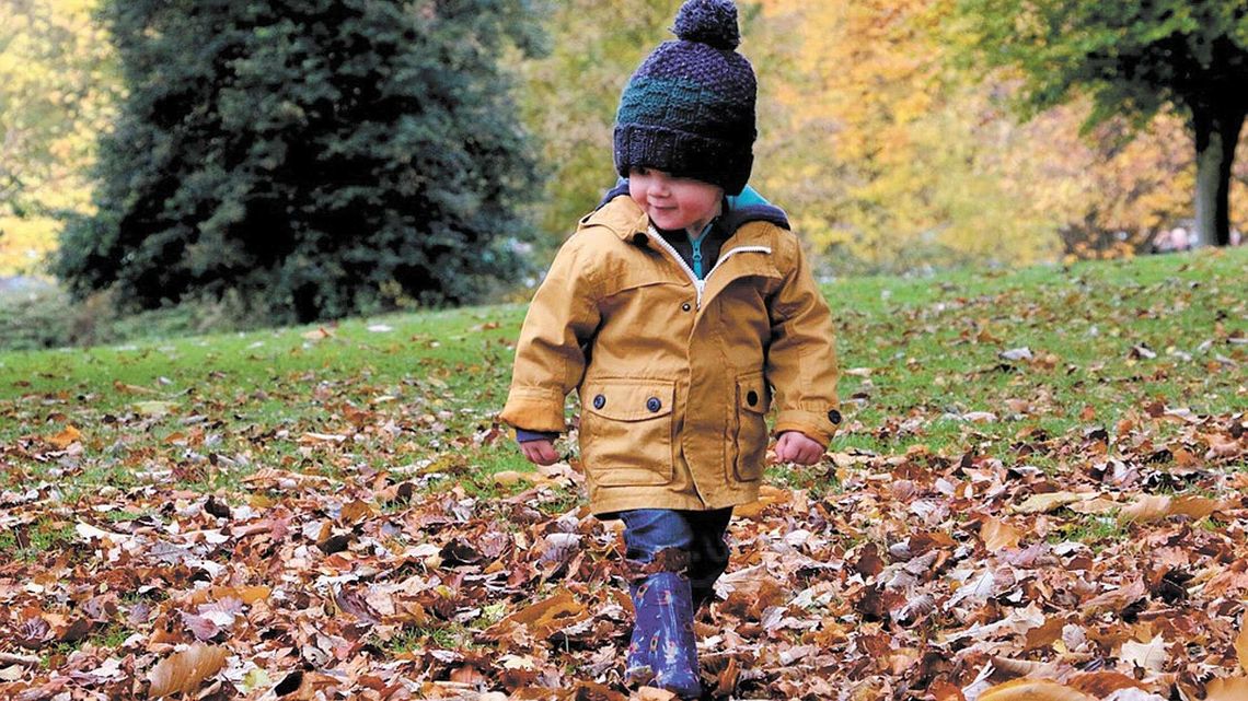 O leśnych przedszkolach w Rezerwacie Dzikich Dzieci O leśnych przedszkolach w Rezerwacie Dzikich Dzieci