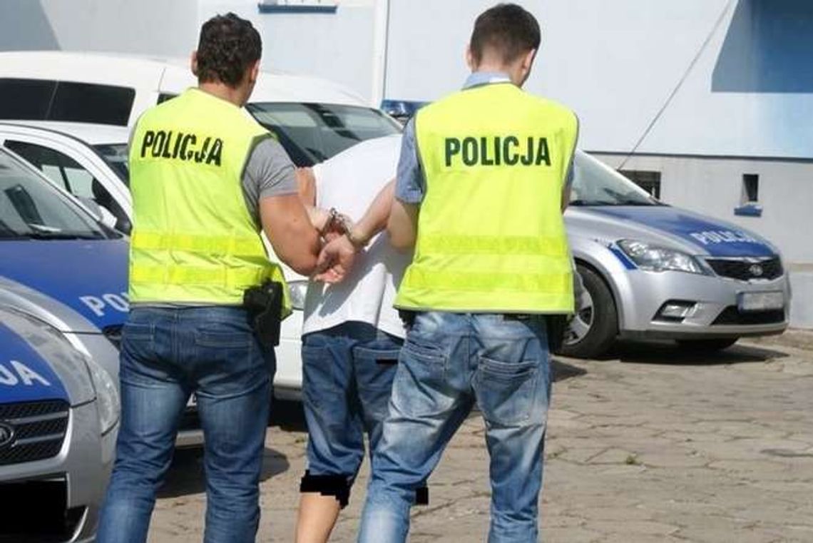 Obława na pedofilów w Polsce. Zatrzymania także w Lubelskiem