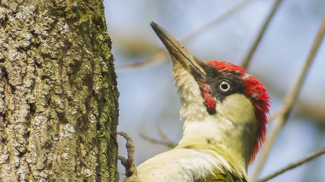 "Obok nas..." - wystawa Artura Łysia w Nałęczowie