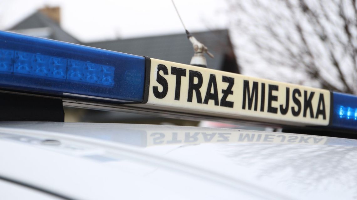 Obraża przypadkowe osoby. Straż znowu ją zatrzymała