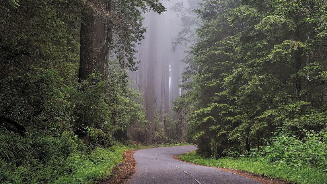 Obrońcy przyrody ostrzegają przed „lex Szyszko 2.0” Obrońcy przyrody ostrzegają przed „lex Szyszko 2.0”