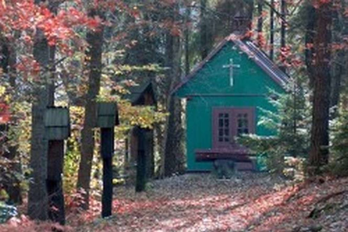 Obywatelskie propozycje dla Janowa Lubelskiego