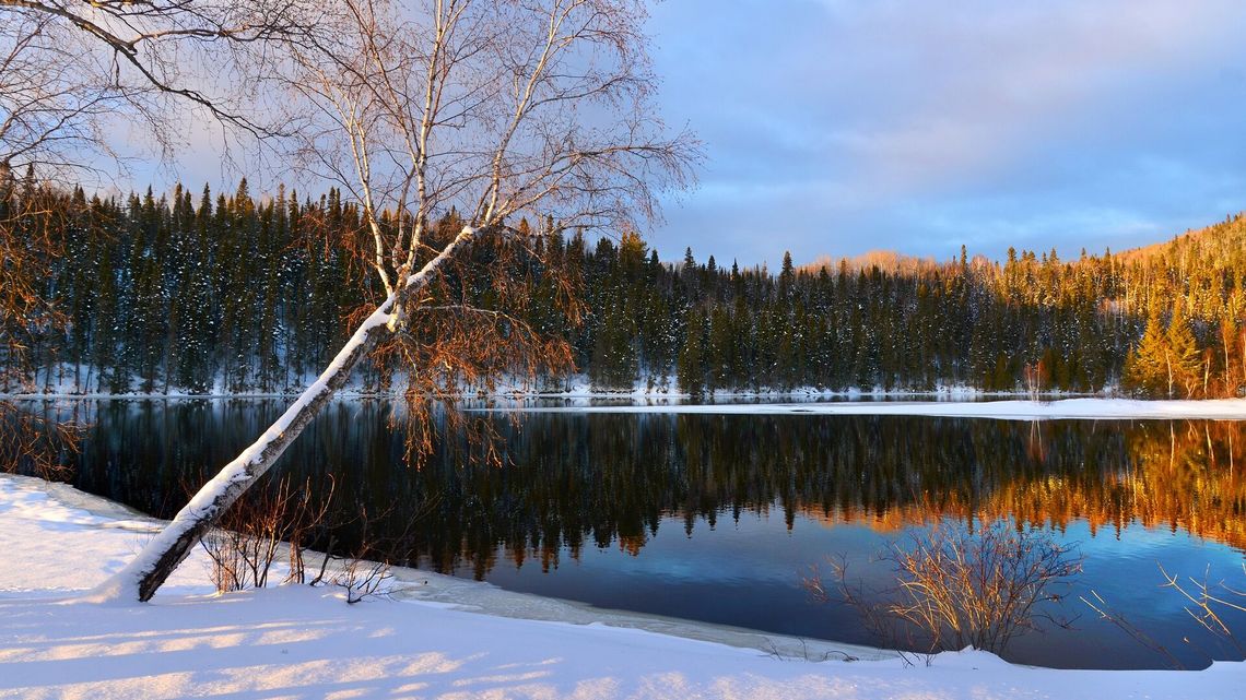 Ocieplenie we wszystkich sezonach roku. Wzrastają temperatury Ocieplenie we wszystkich sezonach roku. Wzrastają temperatury
