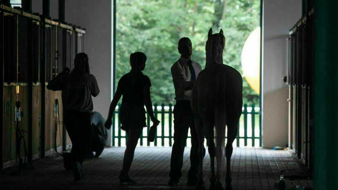 Od 2016 roku szukają czegoś na byłego prezesa stadniny. Śledztwo przedłużone do lipca 