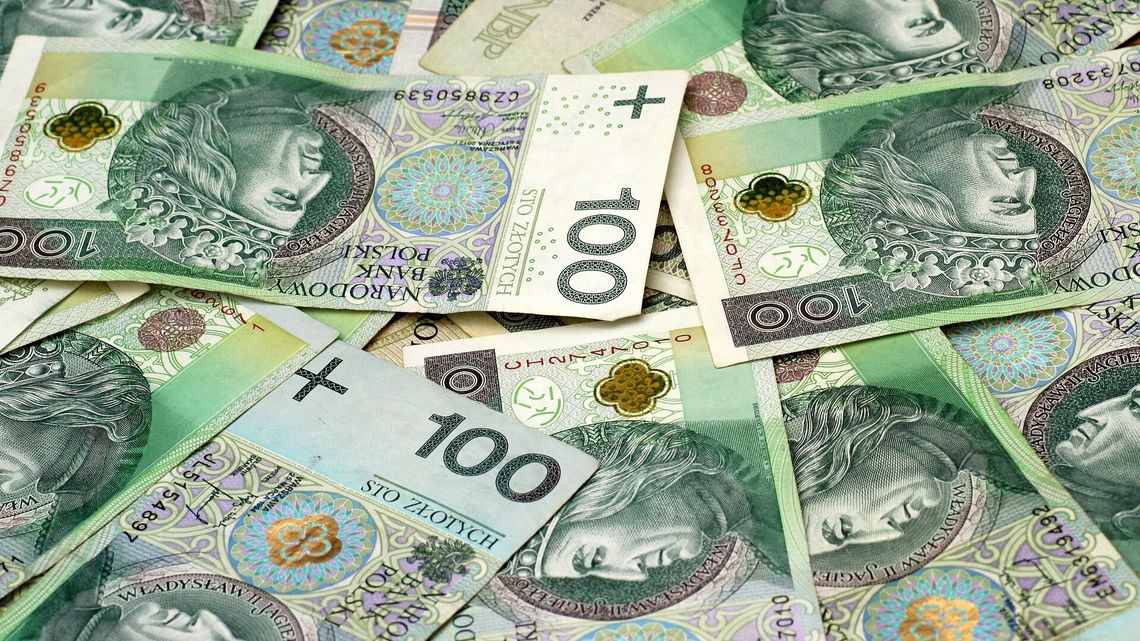 Od chirurga po sprzątaczkę. Puławska lista płac