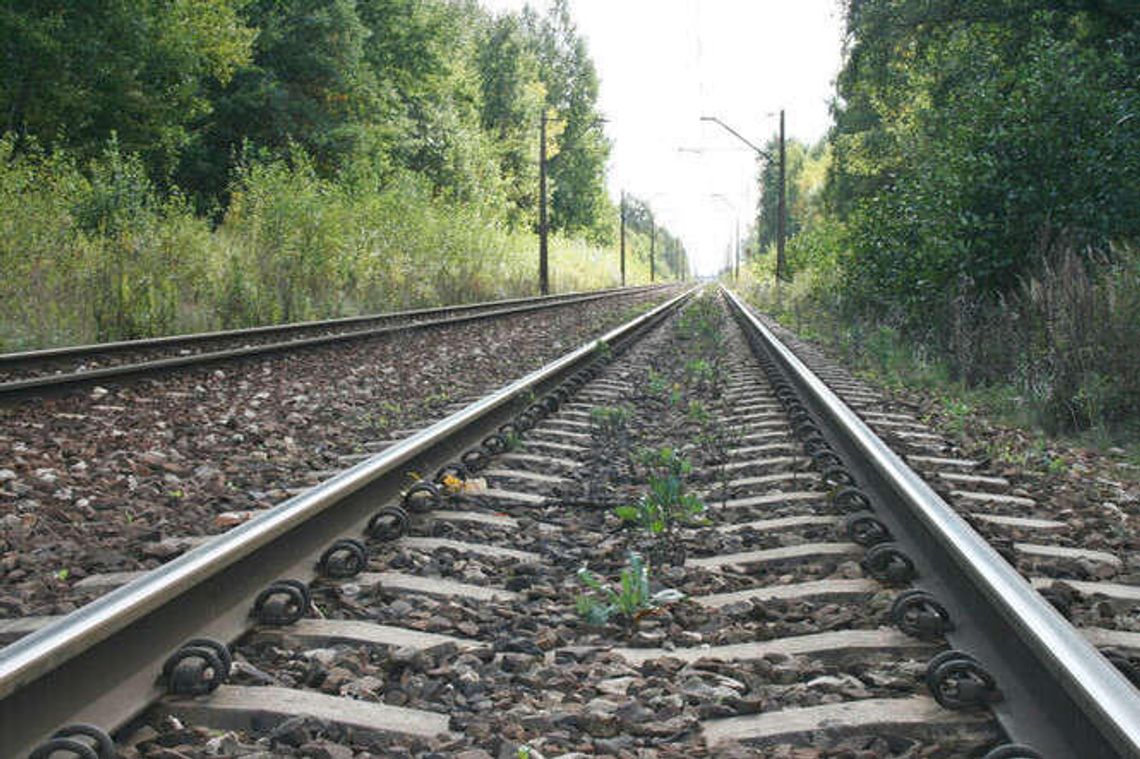 Od dziś objazd na drodze z Puław do Dęblina Od dziś objazd na drodze z Puław do Dęblina