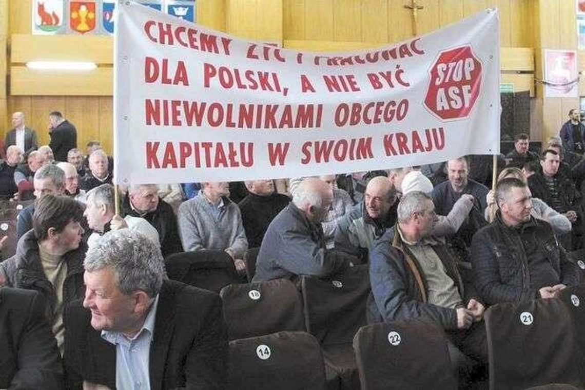 "Od lipca nie mamy dochodów". Stracili świnie zakażone wirusem ASF, chcą wypłaty odszkodowań