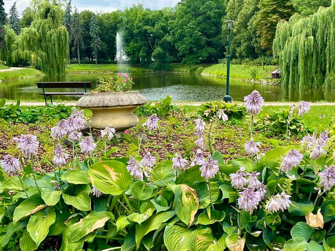 Park Miejski Zamość