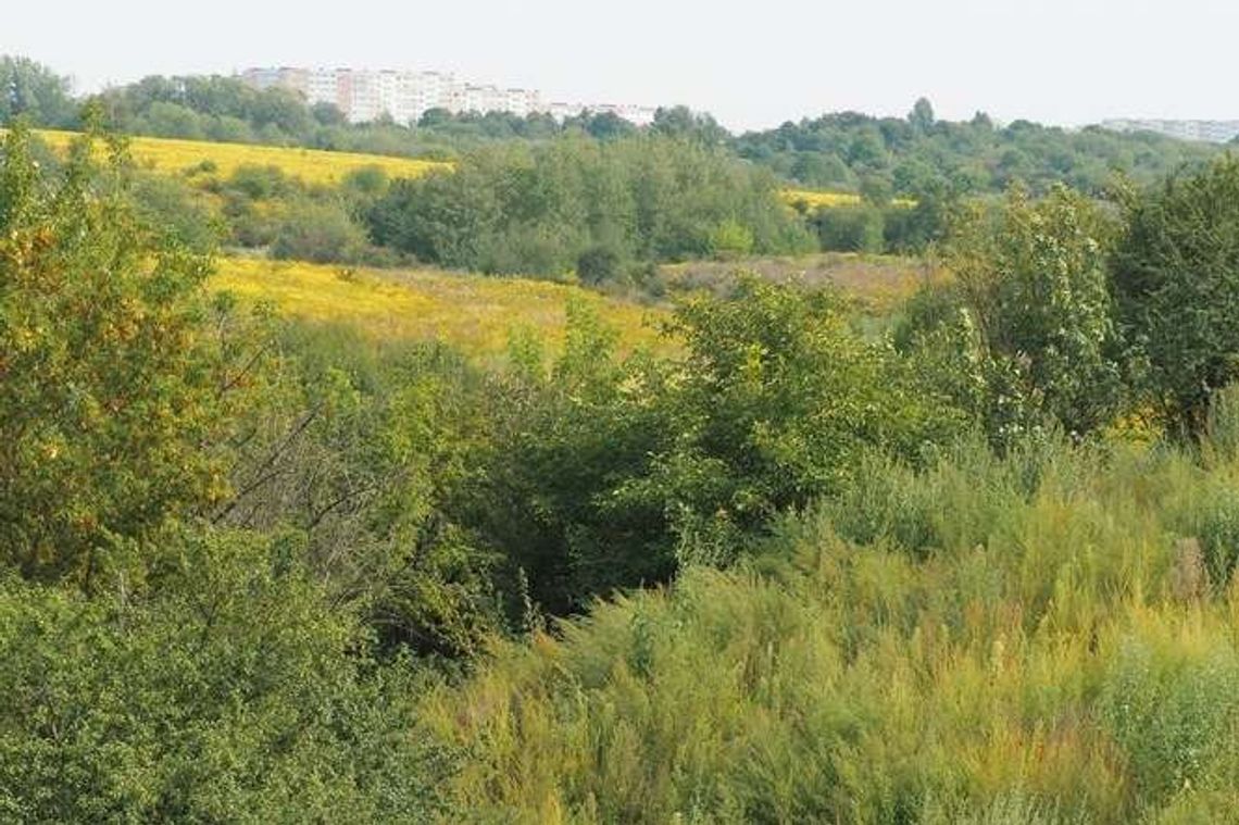 "Oddycha się coraz trudniej, zaangażujmy się, bo ważą się losy Lublina". Apel czytelniczki