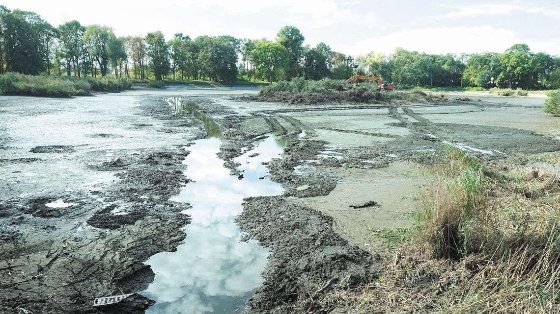 "Odkąd sięgam pamięcią, w parku zawsze była wyspa". Ale po remoncie już jej nie będzie "Odkąd sięgam pamięcią, w parku zawsze była wyspa". Ale po remoncie już jej nie będzie