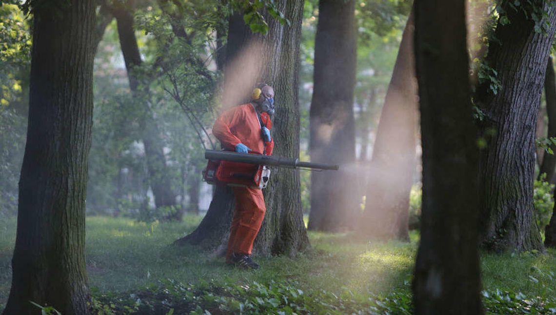 Odkomarzanie Lublina, po raz drugi tego lata. Gdzie będą opryski? Odkomarzanie Lublina, po raz drugi tego lata. Gdzie będą opryski?