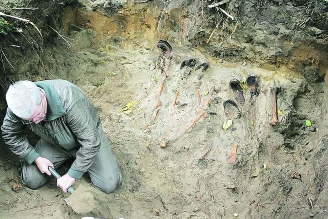 Odkopali kawał historii. Znaleźli ludzkie szczątki