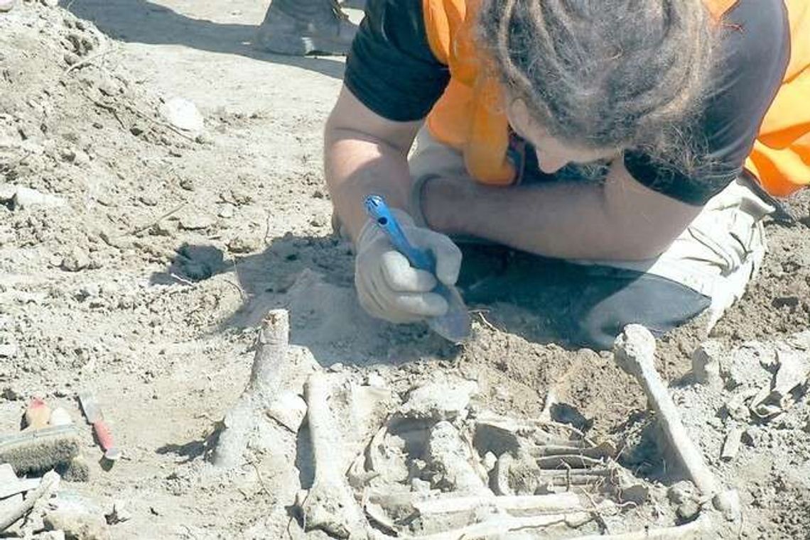 Odkopani pogrzebani na Litewskim. "Nie sądziliśmy, że odkrycia będą na taką skalę" Odkopani pogrzebani na Litewskim. "Nie sądziliśmy, że odkrycia będą na taką skalę"