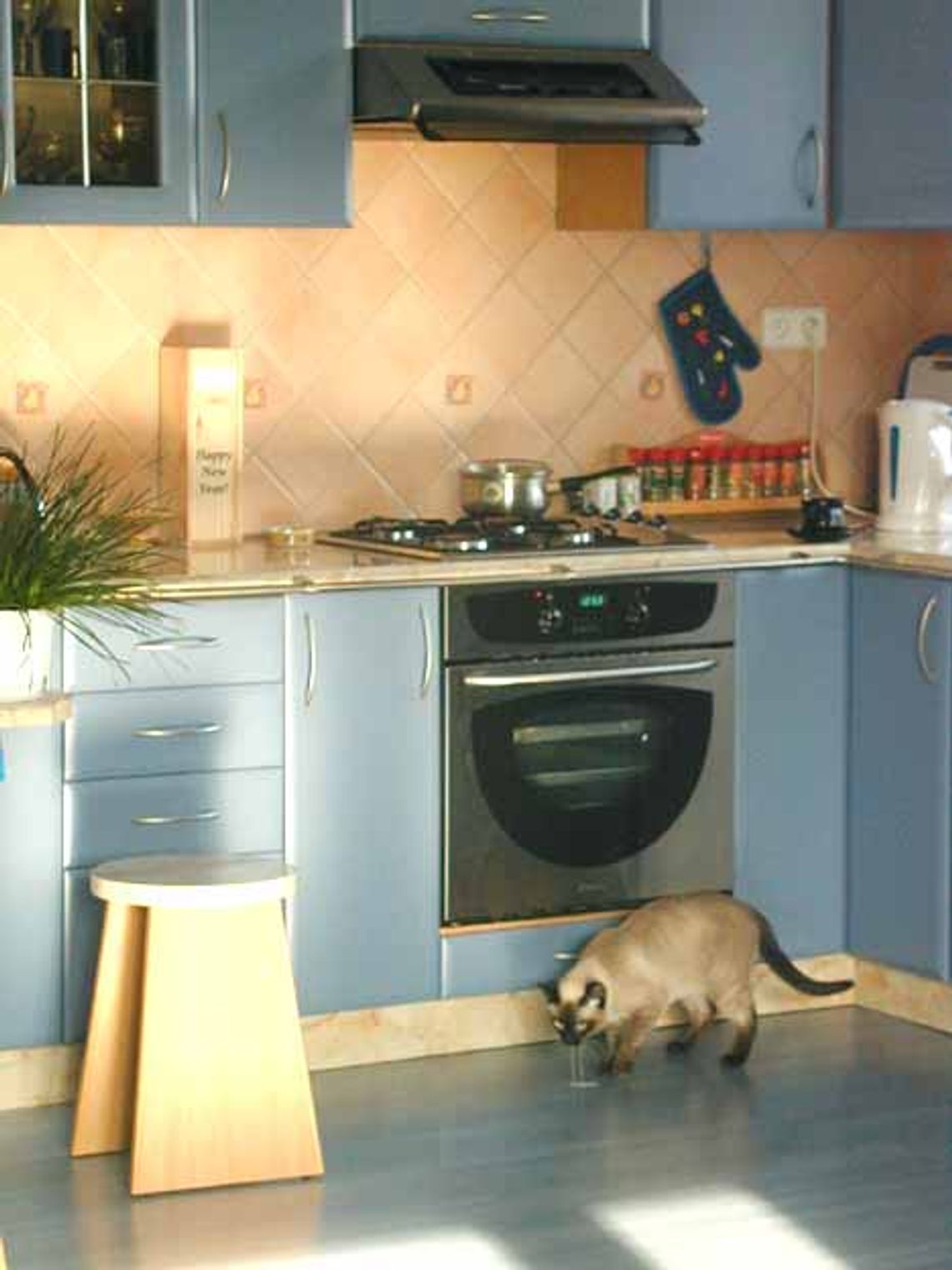 Odmłodzony trzydziestolatek