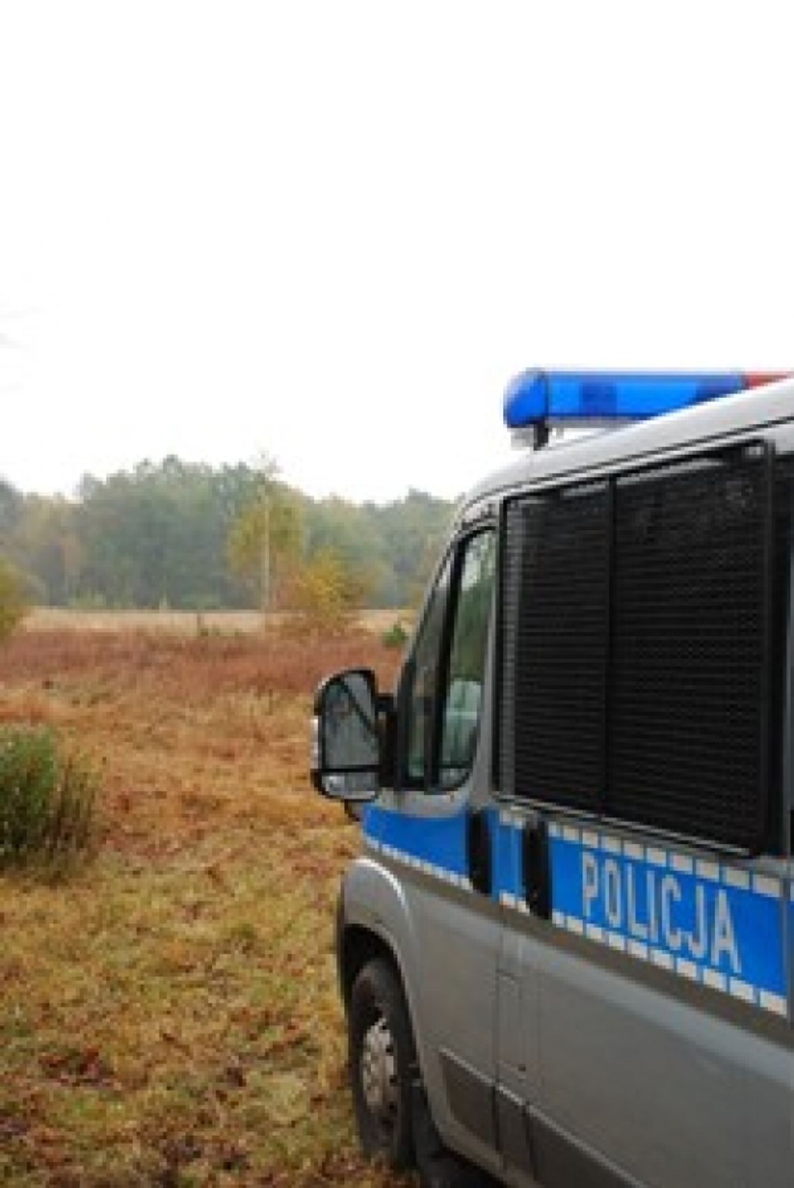 Odnaleźli zaginioną 87-letnią kobietę na leśnej polanie Odnaleźli zaginioną 87-letnią kobietę na leśnej polanie