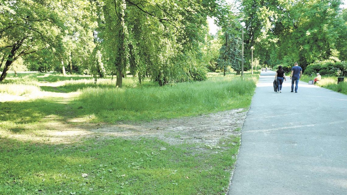Odnowa Parku Ludowego droższa niż zakładało miasto. Najtańsza oferta za 34 mln zł