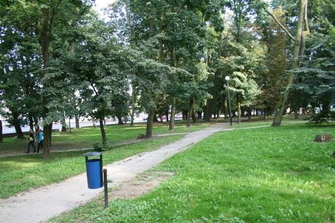 Odnowią zabytkowy park w Rykach