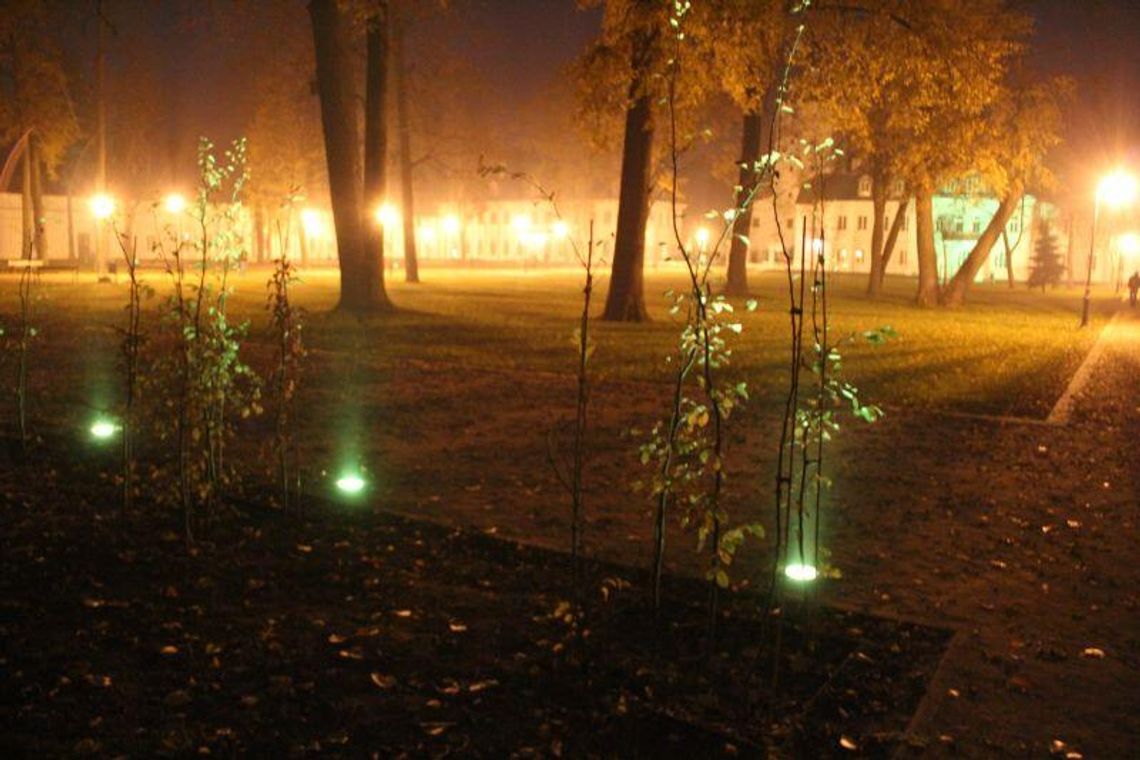Odnowiony Park Radziwiłłowski piękny też nocą (zdjęcia)