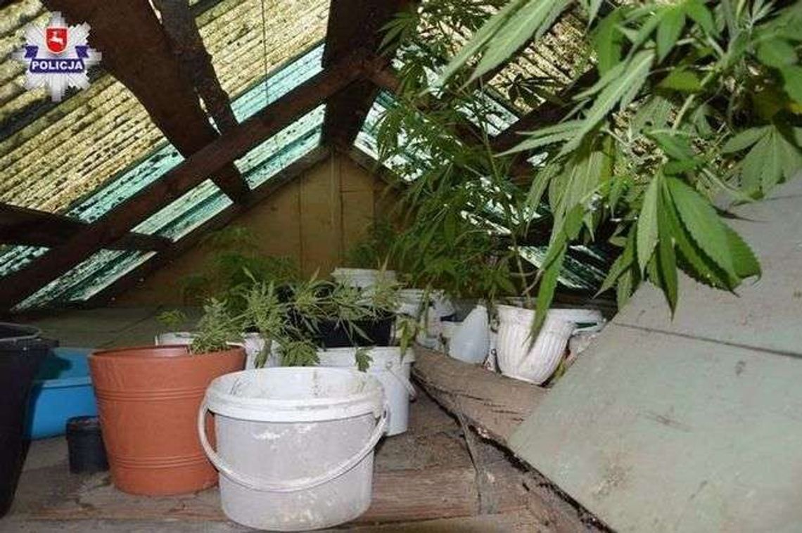 Odwiedziła opuszczoną altankę zmarłego ojca. Zaskakujące znalezisko Odwiedziła opuszczoną altankę zmarłego ojca. Zaskakujące znalezisko