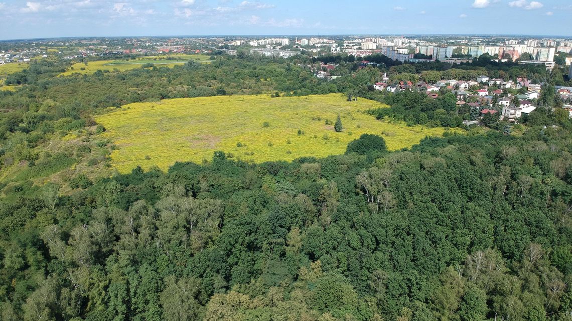 Odwołanie w sprawie górek czechowskich. Ujawniamy to, co utajnia Ratusz Odwołanie w sprawie górek czechowskich. Ujawniamy to, co utajnia Ratusz