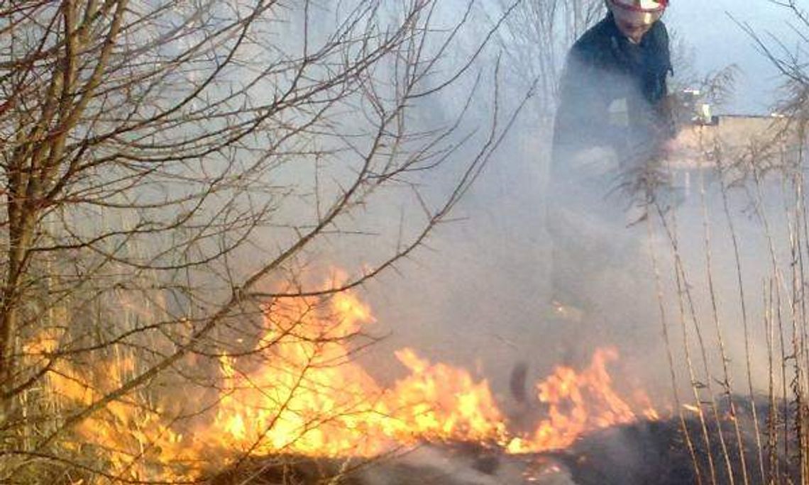 Ofiara wypalania traw. Zginęła 69-latka Ofiara wypalania traw. Zginęła 69-latka