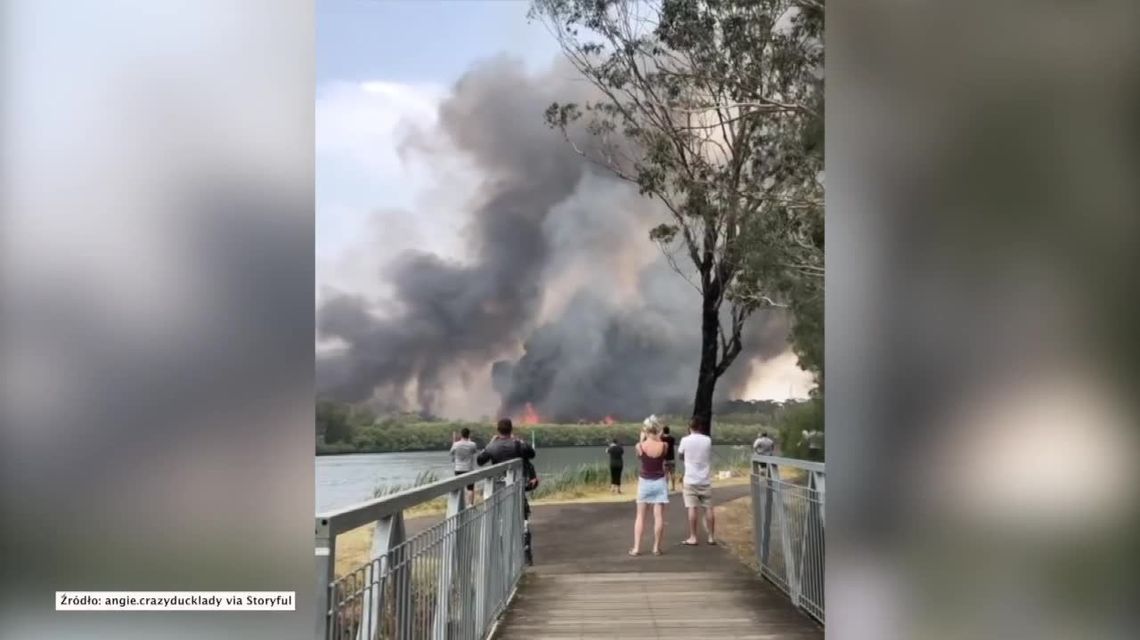 Ogień widać już z przedmieść Sydney. Pożary w Australii nie ustępują