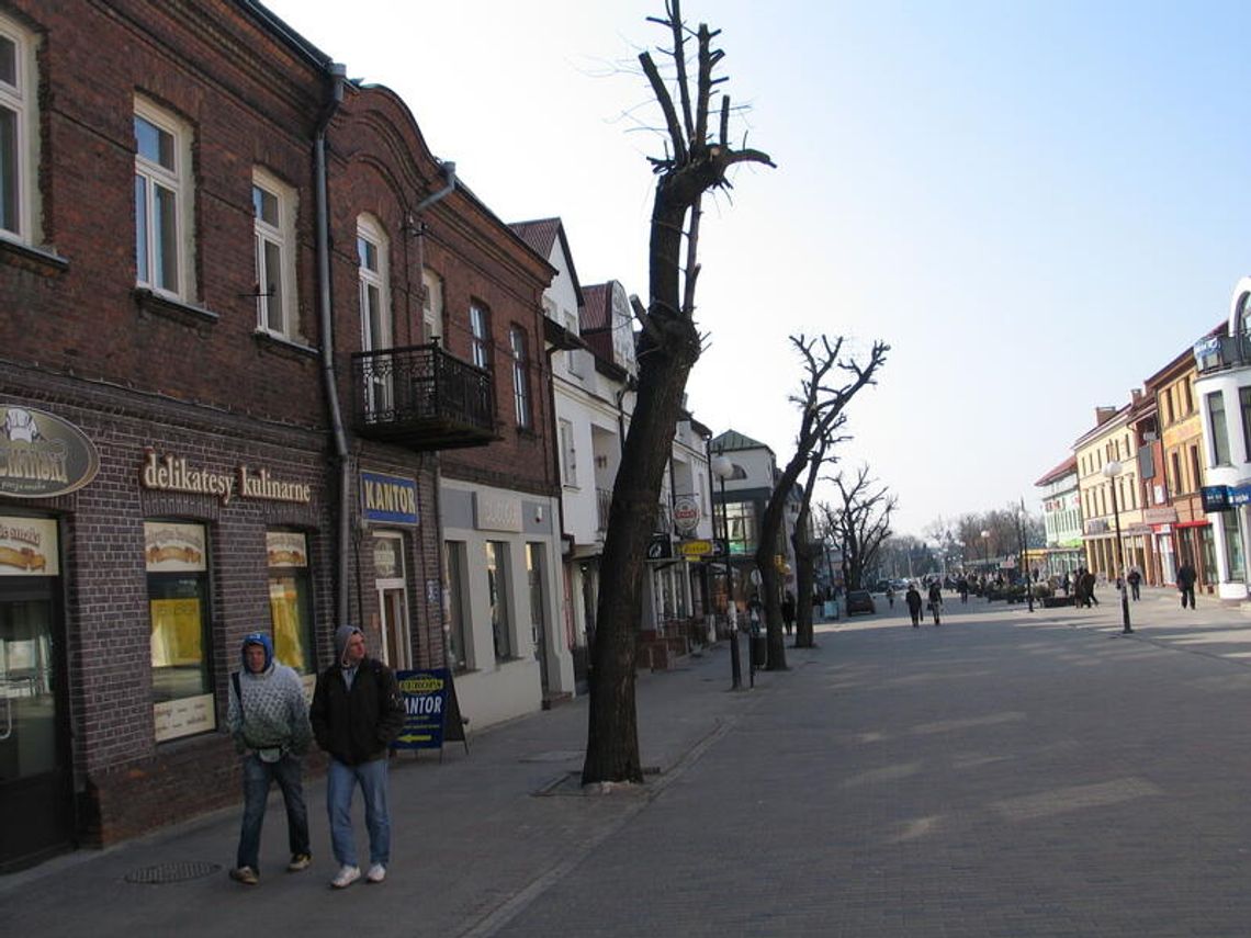 Ogołocone drzewa w centrum Chełma. Urzędnicy: To zabiegi pielęgnacyjne