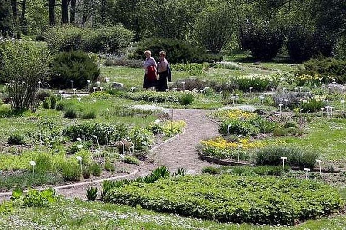 Ogród Botaniczny niszczeje w oczach (list) Ogród Botaniczny niszczeje w oczach (list)