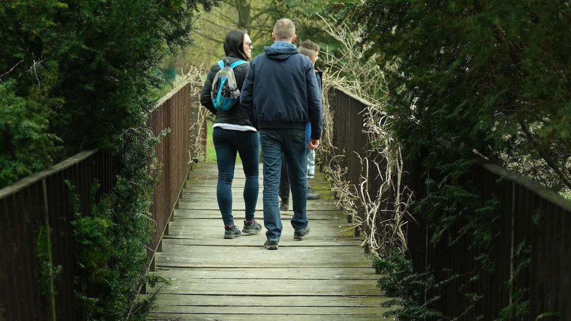 Ogród Botaniczny UMCS. Jest data otwarcia po zimie Ogród Botaniczny UMCS. Jest data otwarcia po zimie