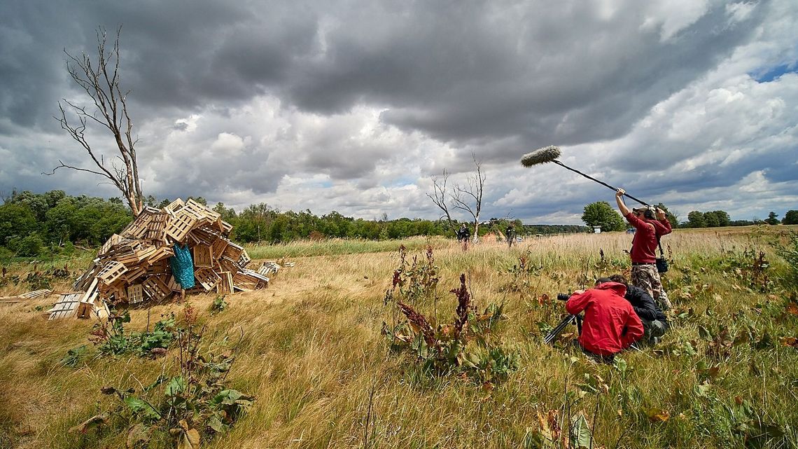Ogród pełen landartów czyli wrzucanie sztuki do wnętrza naturalnego środowiska