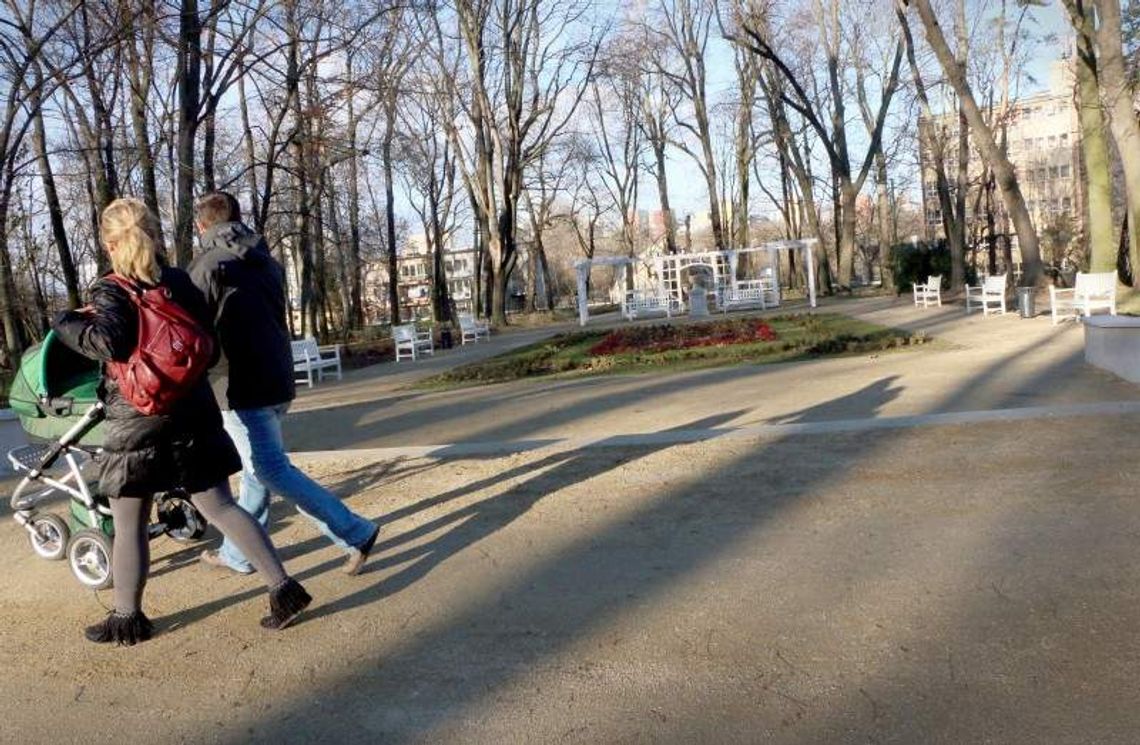 Ogród Saski. Alejki po nowemu przeszkadzają radnemu Ogród Saski. Alejki po nowemu przeszkadzają radnemu