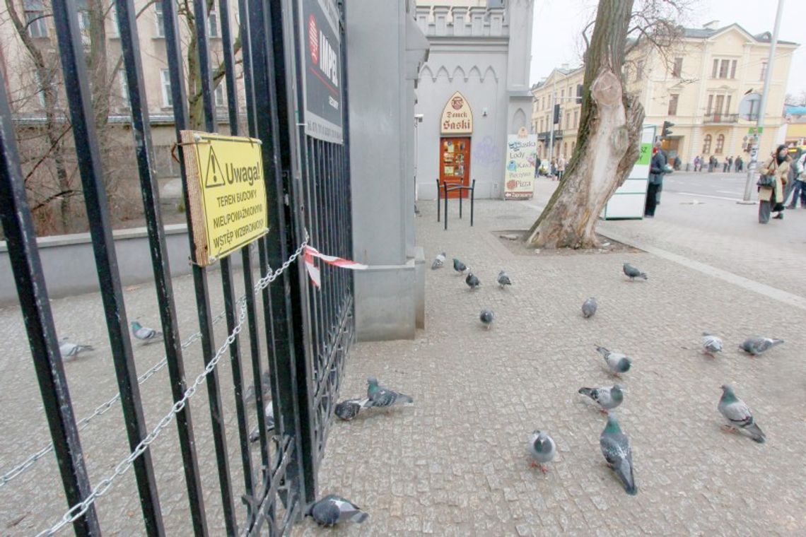 Ogród Saski będzie miał monitoring za 700 tys. zł
