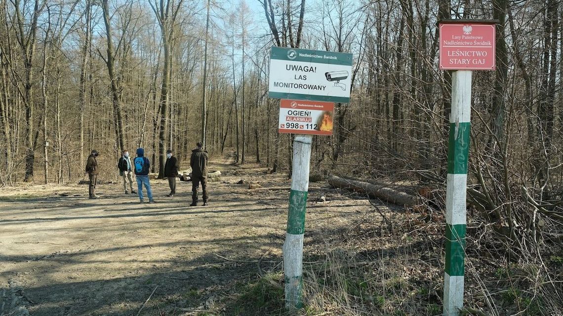 Ogród Saski i Stary Gaj. Miasto ma lepiej chronić cenne miejsca