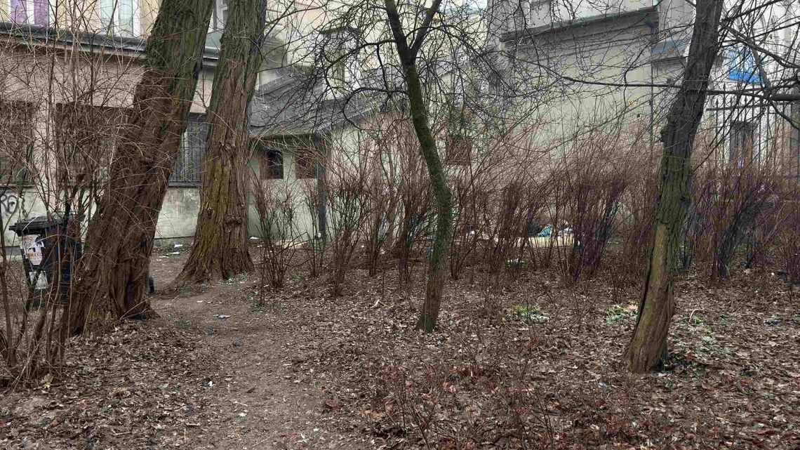 Ogród Saski pełen śmieci. "Wygląda jak stałe punkty picia alkoholu" Ogród Saski pełen śmieci. "Wygląda jak stałe punkty picia alkoholu"