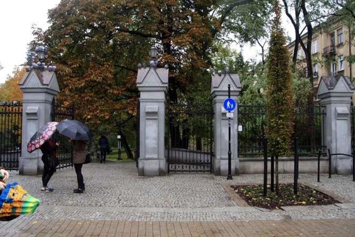 Ogród Saski: Rośnie następca topoli Ogród Saski: Rośnie następca topoli