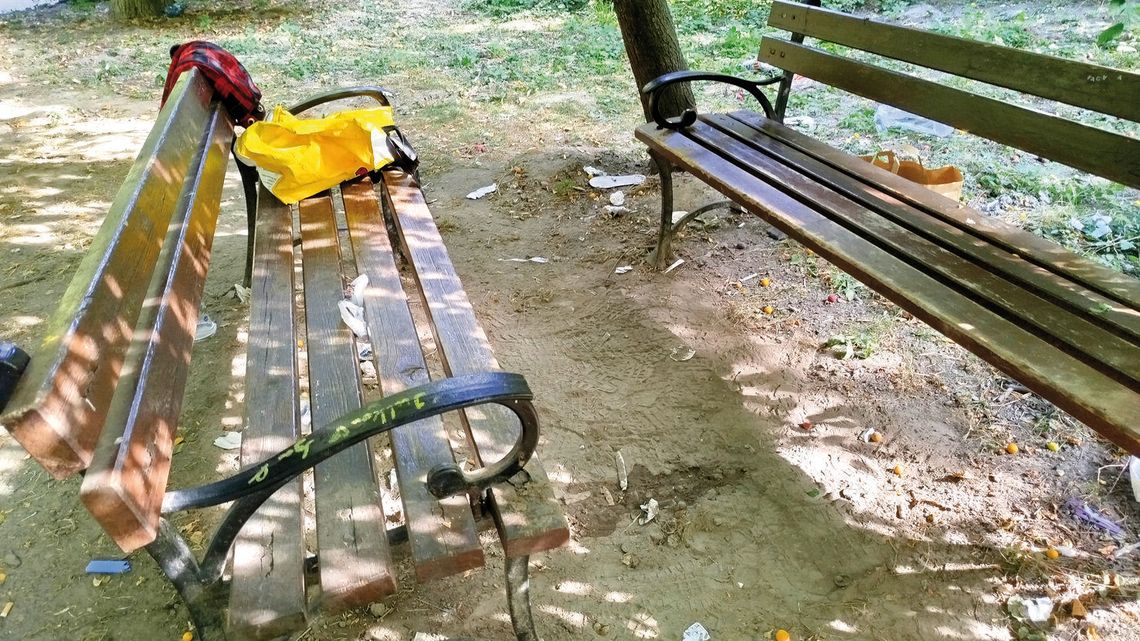 Ogród Saski wizytówką czy nocną meliną?