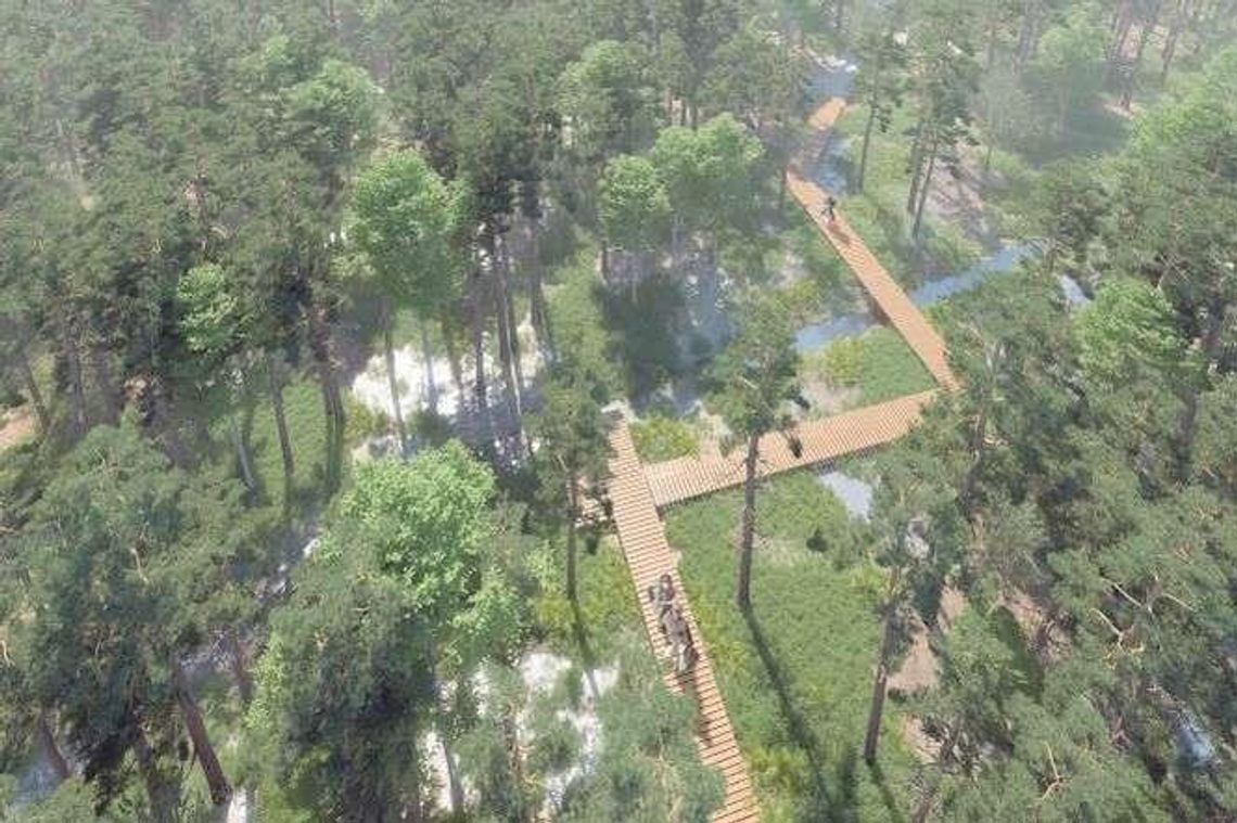 Ogród w lesie. Nowe atrakcje w lasach janowskich (zdjęcia)