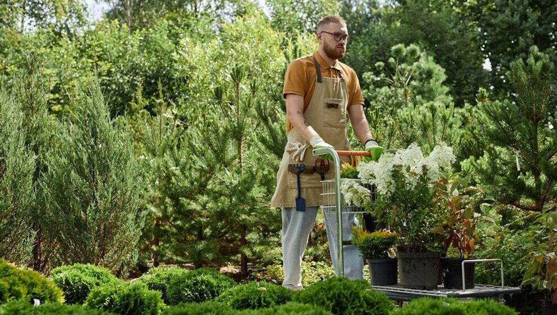 Ogród w wielkim mieście – rola ogrodnictwa w zielonej rewitalizacji Ogród w wielkim mieście – rola ogrodnictwa w zielonej rewitalizacji