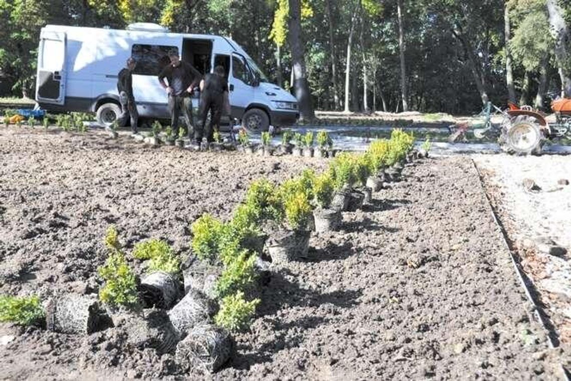 Ogród włoski rośnie w Łęcznej Ogród włoski rośnie w Łęcznej