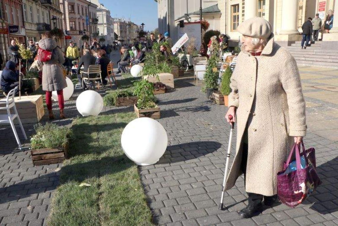 Ogródek przed Ratuszem. "Pierwszy krok w miasto naszych marzeń" Ogródek przed Ratuszem. "Pierwszy krok w miasto naszych marzeń"
