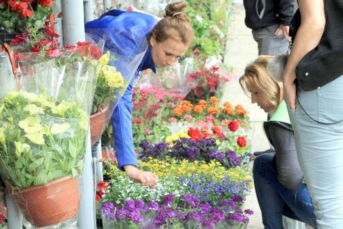 Ogrodowy zawrót głowy. Raj dla miłośników kwiatów w Końskowoli