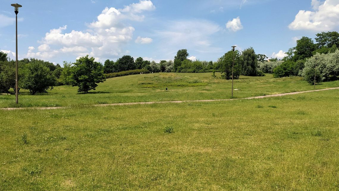 Ogrody deszczowe mają zatrzymać wodę. Lista miejsc w Lublinie