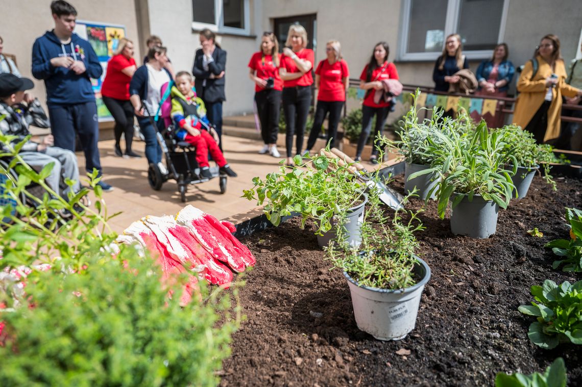 Ogrody zamiast nieużytków. Lubelskie inicjatywy podsumują rok działań