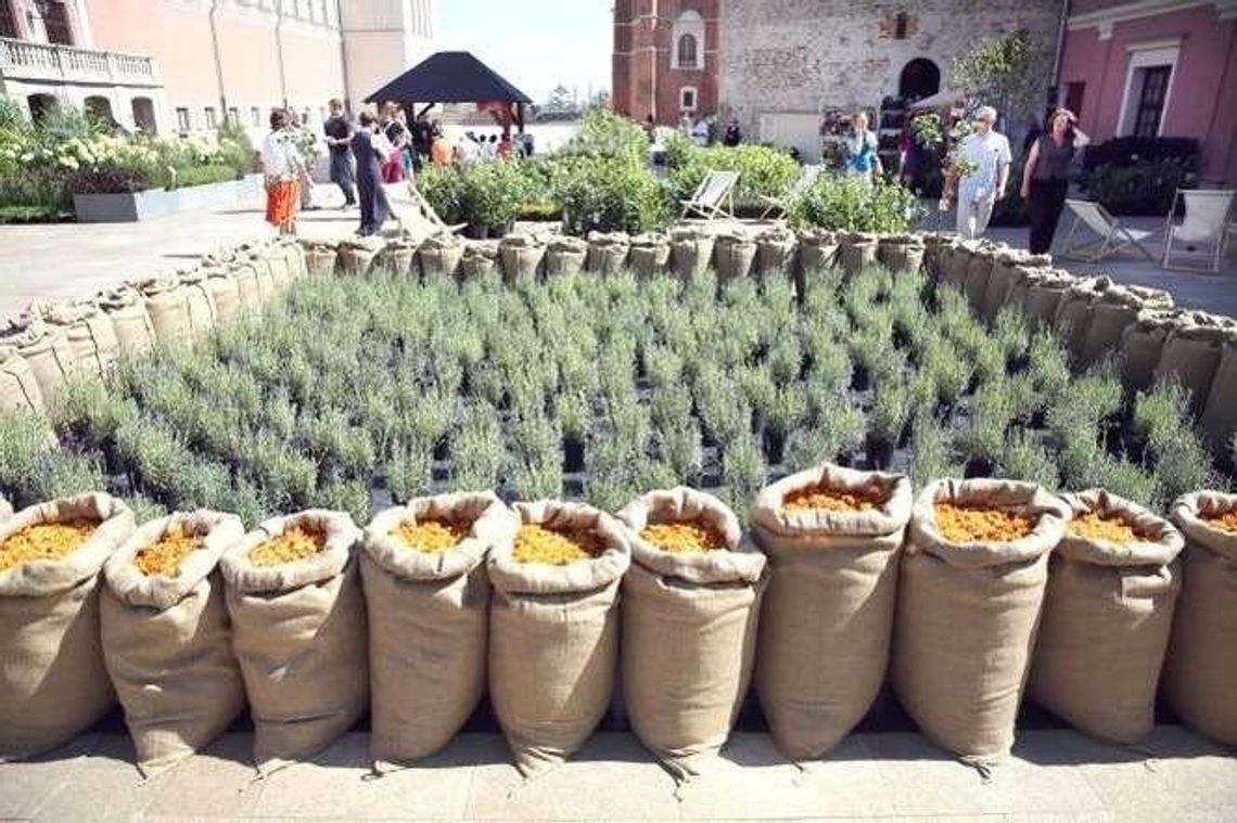 Ogrody Zamkowe czekają. Dzisiaj rusza Europejski Festiwal Smaku Ogrody Zamkowe czekają. Dzisiaj rusza Europejski Festiwal Smaku