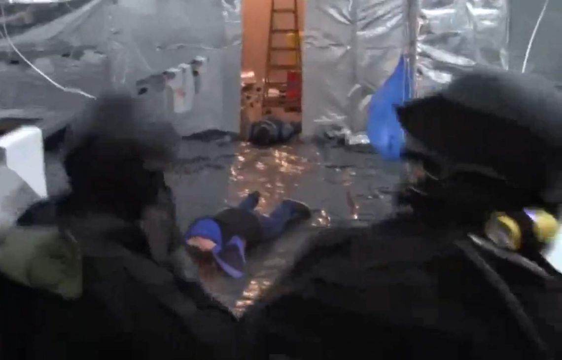 Ogromna plantacja marihuany w byłej przetwórni owoców. Strzały podczas nalotu policji (wideo)