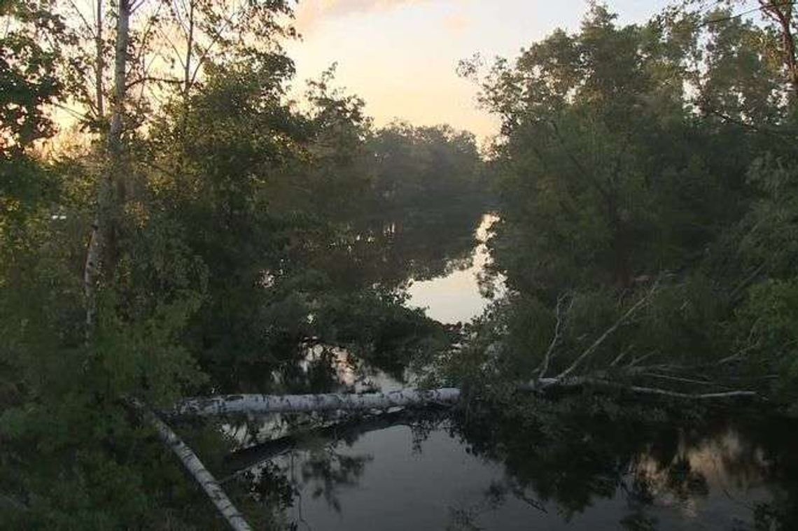 Ogromne straty po nawałnicach. Wojsko pomaga strażakom w udrożnianiu rzeki