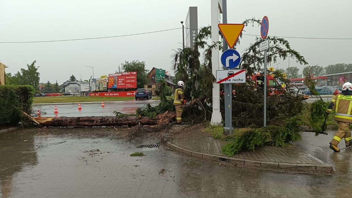 Ogromne zniszczenia po silnych burzach. Ponad 300 interwencji w regionie