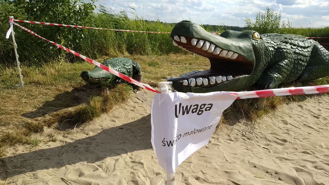 Okuninka: Po 20 latach krokodyl jak nowy Okuninka: Po 20 latach krokodyl jak nowy