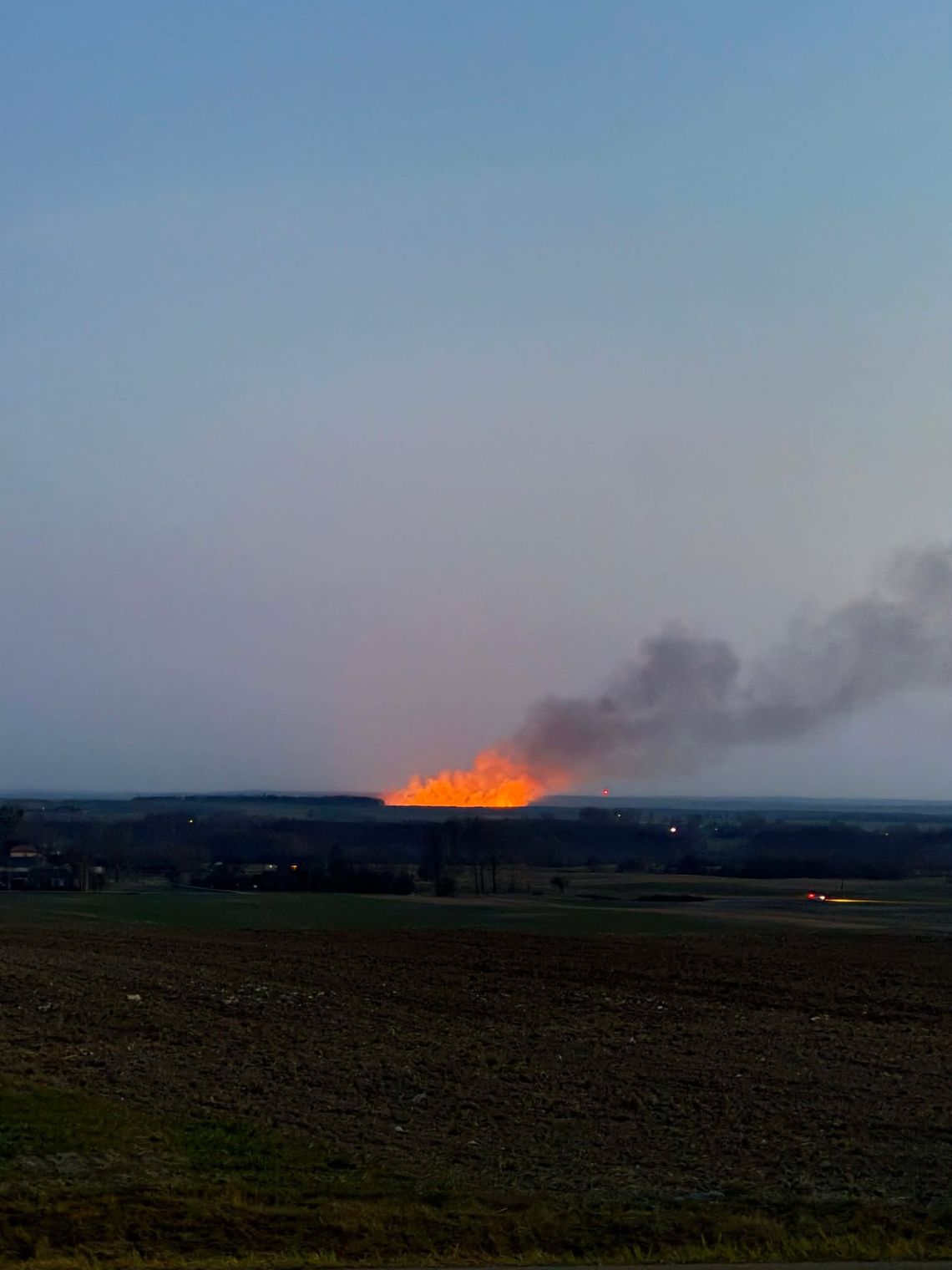 Olbrzymi pożar traw
